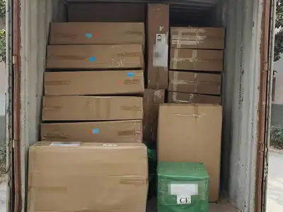 🚢 Urgent Shipment Update: OMC Amusement Ensures Orders Are Delivered Before Chinese New Year