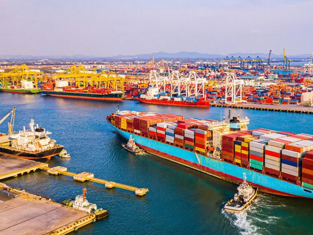 Inflatable Pool Damage & Cargo Insurance: What You Need to Know 🛟